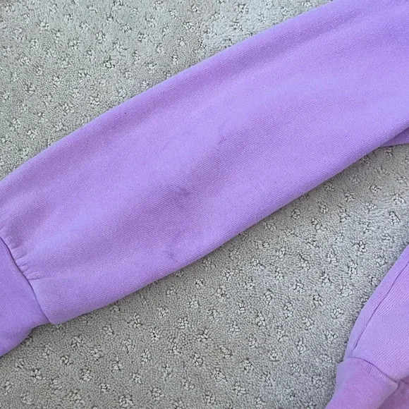 Aviator Nation 5 Stripe Zip Hoodie - Picture 4 of 5